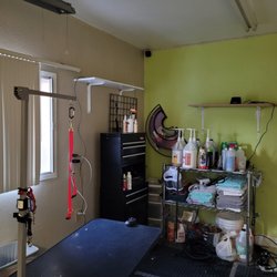 Allie's Barking Beauties & Training - Grooming Table