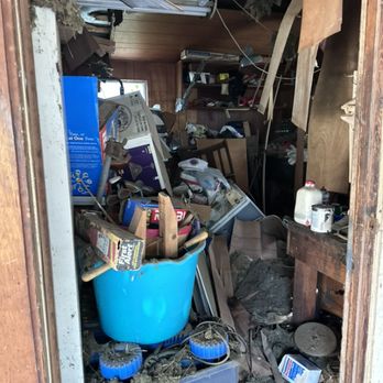 The Honey Do Handyman - Shed clean up - Handyman Near Me