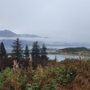 Dock Point Trail