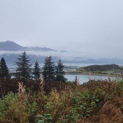 Dock Point Trail