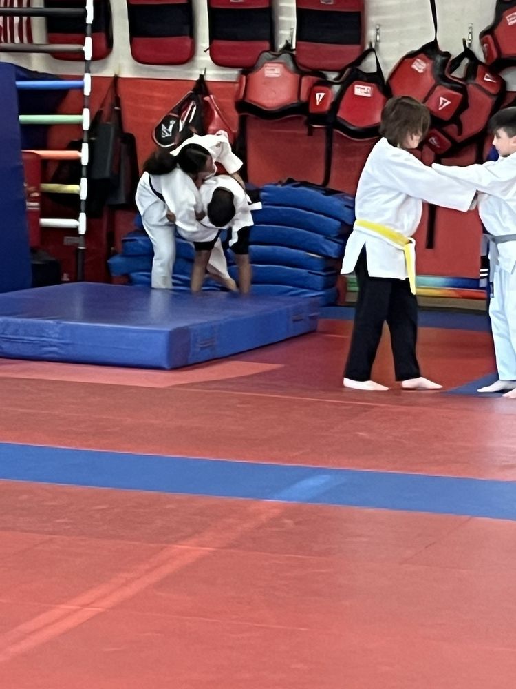 South Elgin Budokan Martial Arts Logo