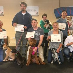 affordable dog training near me