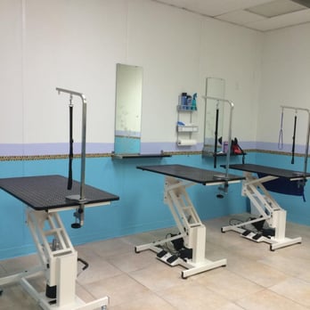 Ginger's Getaway Pet Spa - Pet Groomers Near Me - Weston, Florida Ginger's Getaway Pet Spa - Pet Groomers Near Me - Weston, Florida