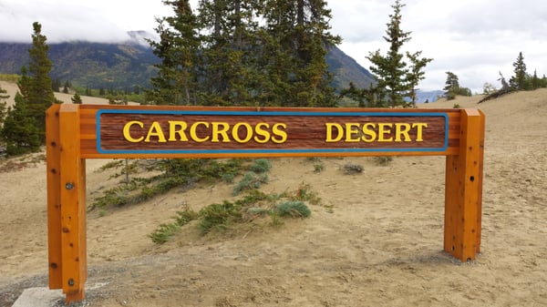 Carcross Desert by null