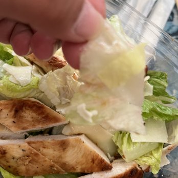 Wendy's - Lettuce - Fast Food Near Me - Honolulu, Hawaii Wendy's - Lettuce - Fast Food Near Me - Honolulu, Hawaii