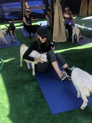 Vail Stables by null