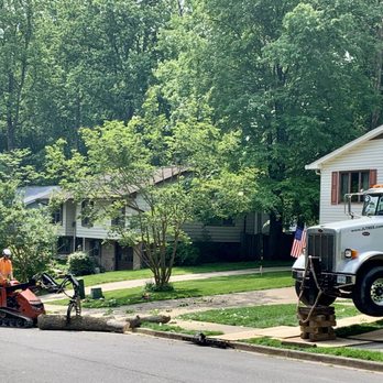 Maksanty Tree LLC - Tree Services Near Me Maksanty Tree LLC - Tree Services Near Me