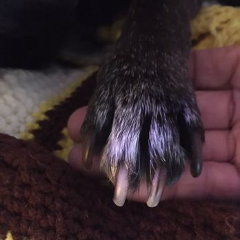 PetSmart - Nice trimmed nails - Pet Stores Near Me - Anchorage, Alaska