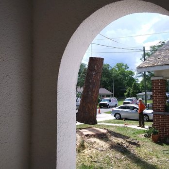 Absolute Tree and Stump - Crane Services Near Me - Fleming Island, Florida