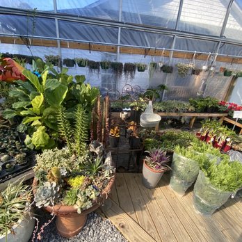 Cedar Creek Nursery Helena - Succulents and large ferns - Nurseries & Gardening Near Me - Helena, Alabama Cedar Creek Nursery Helena - Succulents and large ferns - Nurseries & Gardening Near Me - Helena, Alabama