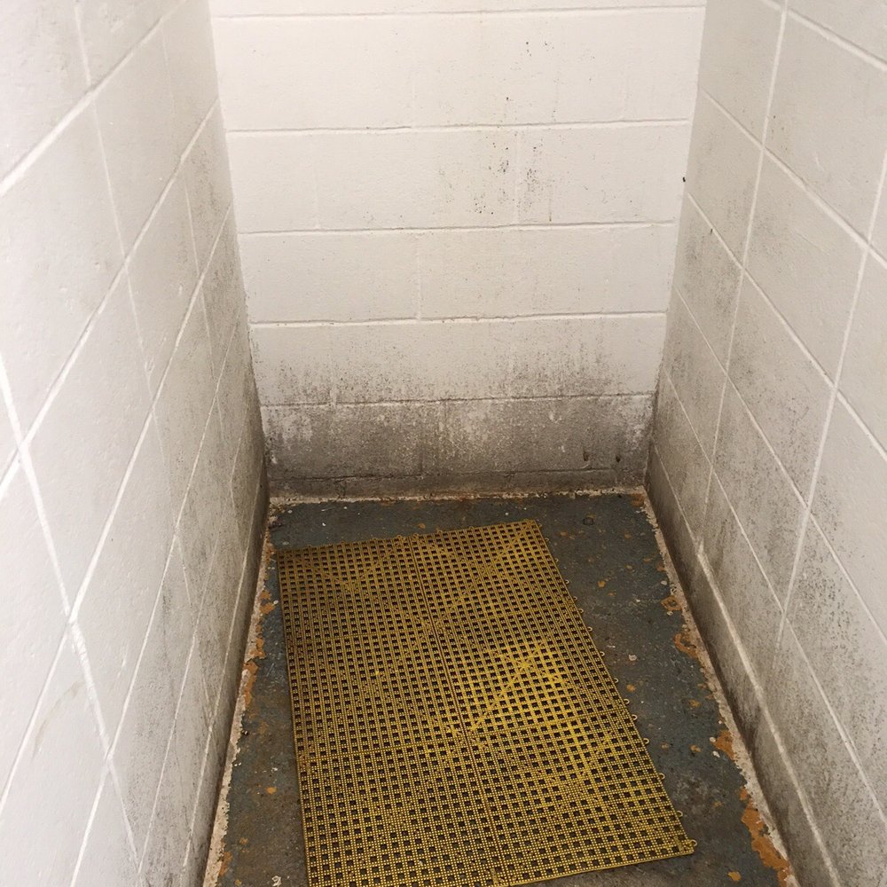 Hidden Springs Campgrounds - This is one of the shower stalls. Mold growing up the walls. - Campgrounds Near Me - Clearville, Pennsylvania Hidden Springs Campgrounds - This is one of the shower stalls. Mold growing up the walls. - Campgrounds Near Me - Clearville, Pennsylvania