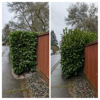 Zorro Landscaping - Landscaping Near Me - Lynnwood, Washington Zorro Landscaping - Landscaping Near Me - Lynnwood, Washington