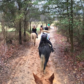 Jayell Ranch - Horse back through nice sized property. - ATV Rentals/Tours Near Me - Sevierville, Tennessee