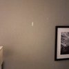 Super 8 by Wyndham Gresham/Portland Area OR gift card