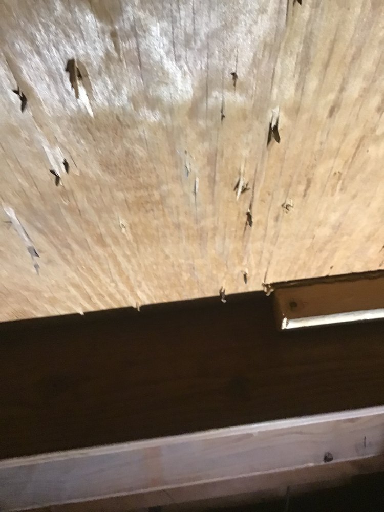 Slide of Next Dimension Construction