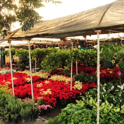 El Vivero de la 30