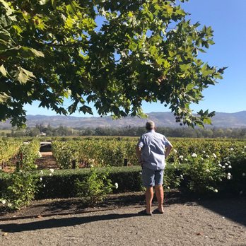 Staglin Family Vineyard - Wineries Near Me - Napa, California Staglin Family Vineyard - Wineries Near Me - Napa, California