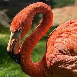 Frank Buck Zoo