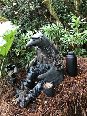 The Ewe Experience by null