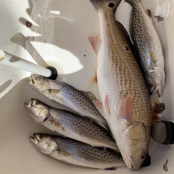 Strictly Business Fishing Charters - Fish - Fishing Near Me - Slidell, Louisiana Strictly Business Fishing Charters - Fish - Fishing Near Me - Slidell, Louisiana