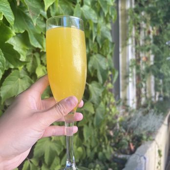 Barefoot Cafe - Mimosa - Bars Near Me - Fairfax, California