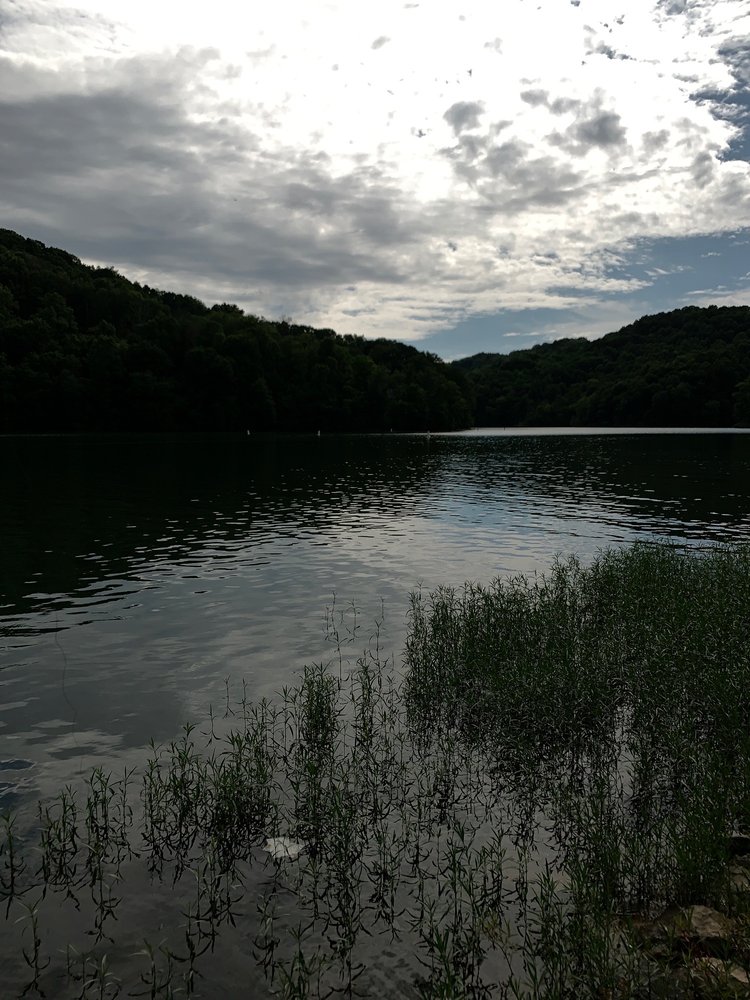 PAINTSVILLE LAKE STATE PARK CAMPGROUND Updated August 2024 1551 Ky