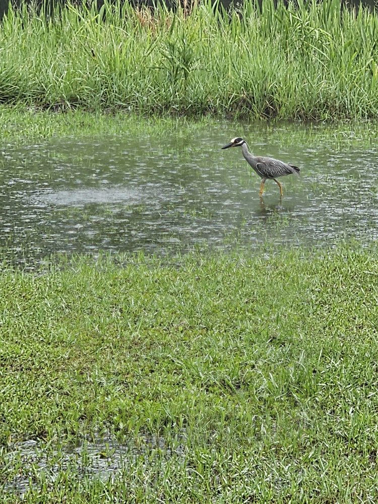 SANTA MARIA RV PARK Updated August 2024 19 Photos 5800 Martin Bluff Rd, Gautier