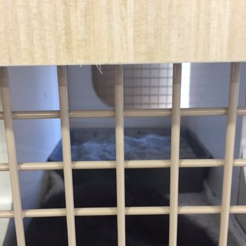 Petco - Not a lot of room for a cat to sleep especially next to a filthy overfilled kitty litter box - Pet Stores Near Me - Los Angeles, California Petco - Not a lot of room for a cat to sleep especially next to a filthy overfilled kitty litter box - Pet Stores Near Me - Los Angeles, California