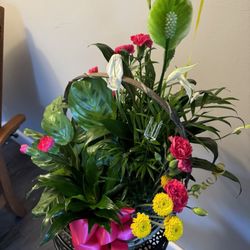 Evergreen Florist