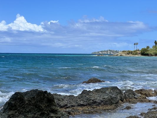 El Gallito ( Gringo Beach ) by null