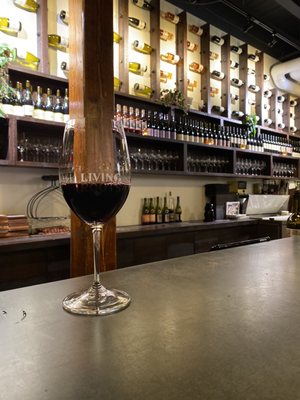 Living Roots Rochester by null