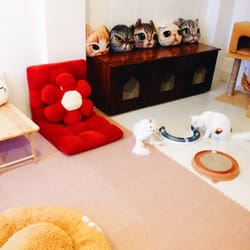 Le Cat Coffee Shop