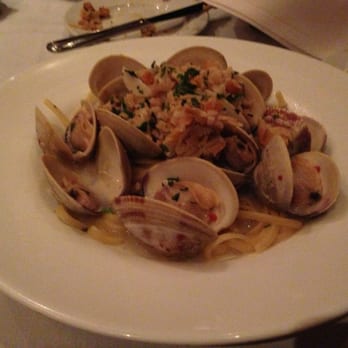 Atlantic Fish - Linguine in Clam Sauce - Seafood Near Me - Boston, Massachusetts Atlantic Fish - Linguine in Clam Sauce - Seafood Near Me - Boston, Massachusetts