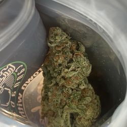 Cannabaska - Nitro Lemon Haze 23.46%
