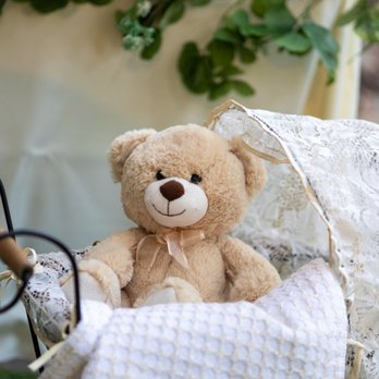 Dina's Deluxe Events - Party & Event Planning Near Me - Los Gatos, California