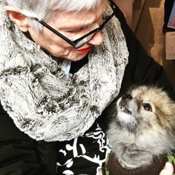 BrainFit - Luca is our unofficial mascot of Independent Living Concierge! All of my clients love to snuggle with him!