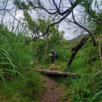 Moanalua Valley Trail - Near boulder riverbend! - Hiking Near Me - Moanalua, Hawaii Moanalua Valley Trail - Near boulder riverbend! - Hiking Near Me - Moanalua, Hawaii
