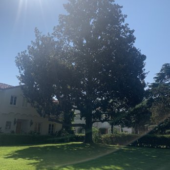 Environmental Green Tree Care - Before... - Tree Services Near Me Environmental Green Tree Care - Before... - Tree Services Near Me