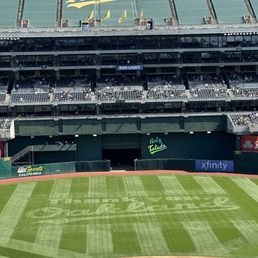 A "Thank You, Oakland" design was displayed during the final Oakland Athletics game played on September 26th, 2024. A "Thank You, Oakland" design was displayed during the final Oakland Athletics game played on September 26th, 2024.