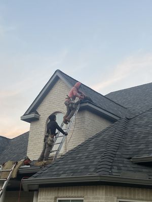 Lifeline Roofing Systems