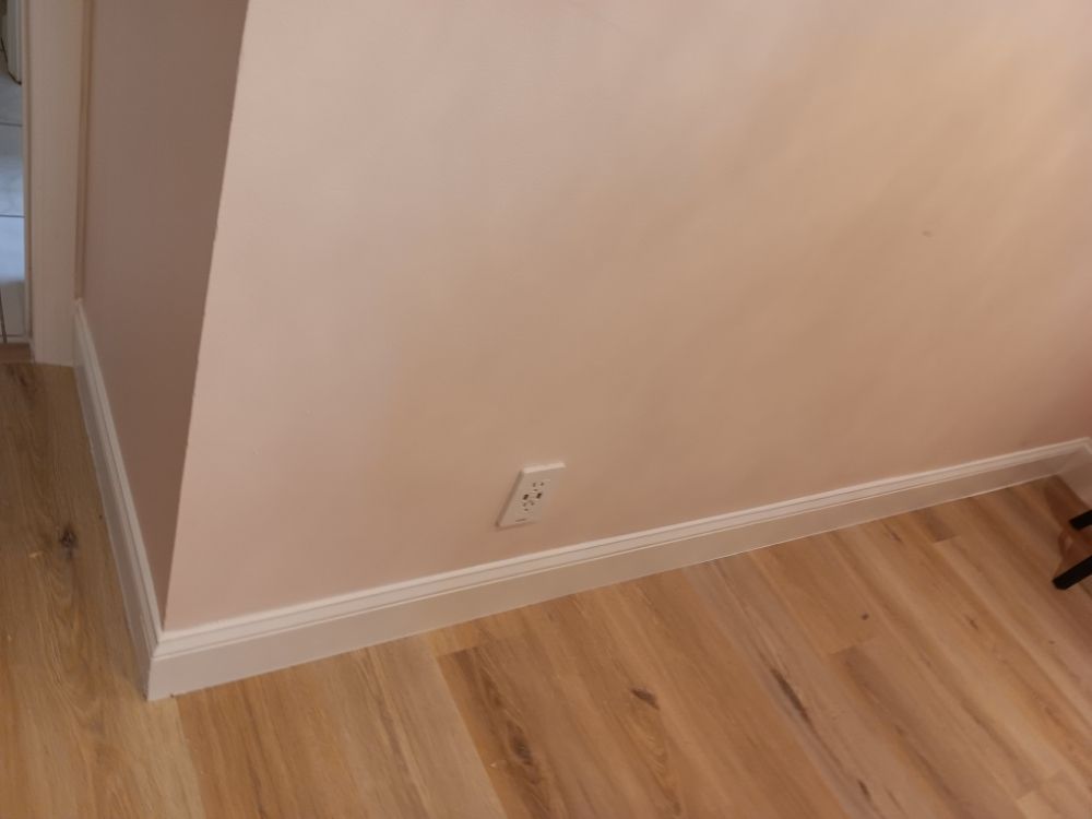 Slide of Pakmarica Painters Florida