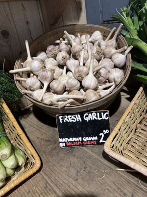 Balsam Farm Stand by null