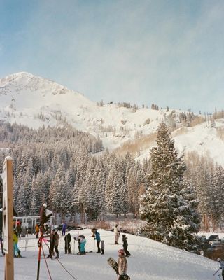 Bleeker Digital Solutions