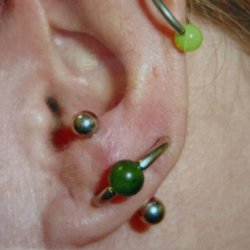 Pro Prick Tattoo and Body Piercing - Orbital,transversal earlobe combo