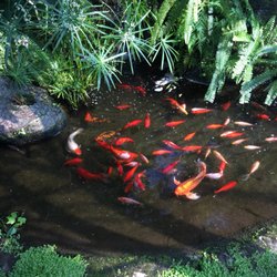 Tioga Gardens