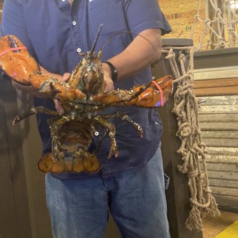 Angry Crab Shack - Seafood Near Me - Henderson, Nevada Angry Crab Shack - Seafood Near Me - Henderson, Nevada