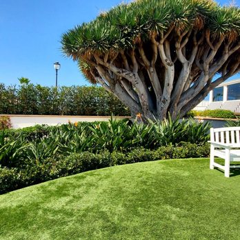 Hotel del Coronado, Curio Collection by Hilton - Coronado, CA