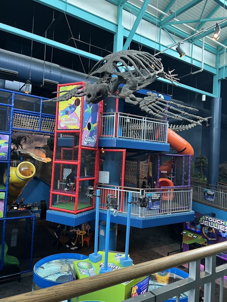 RIPLEY’S AQUARIUM OF THE SMOKIES Updated May 2024 2119 Photos & 857