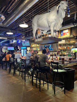 Cattle Drive Cafe & Bull Bar by null