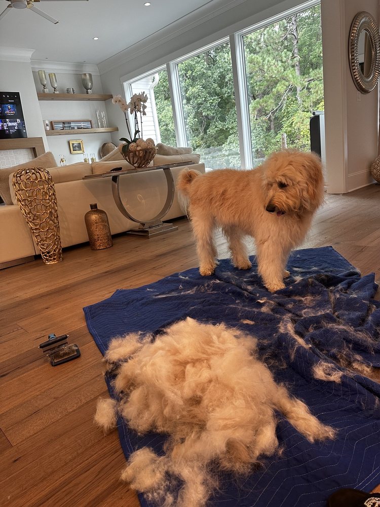 PACK&PRIDE Updated September 2024 18 Photos & 28 Reviews 3302